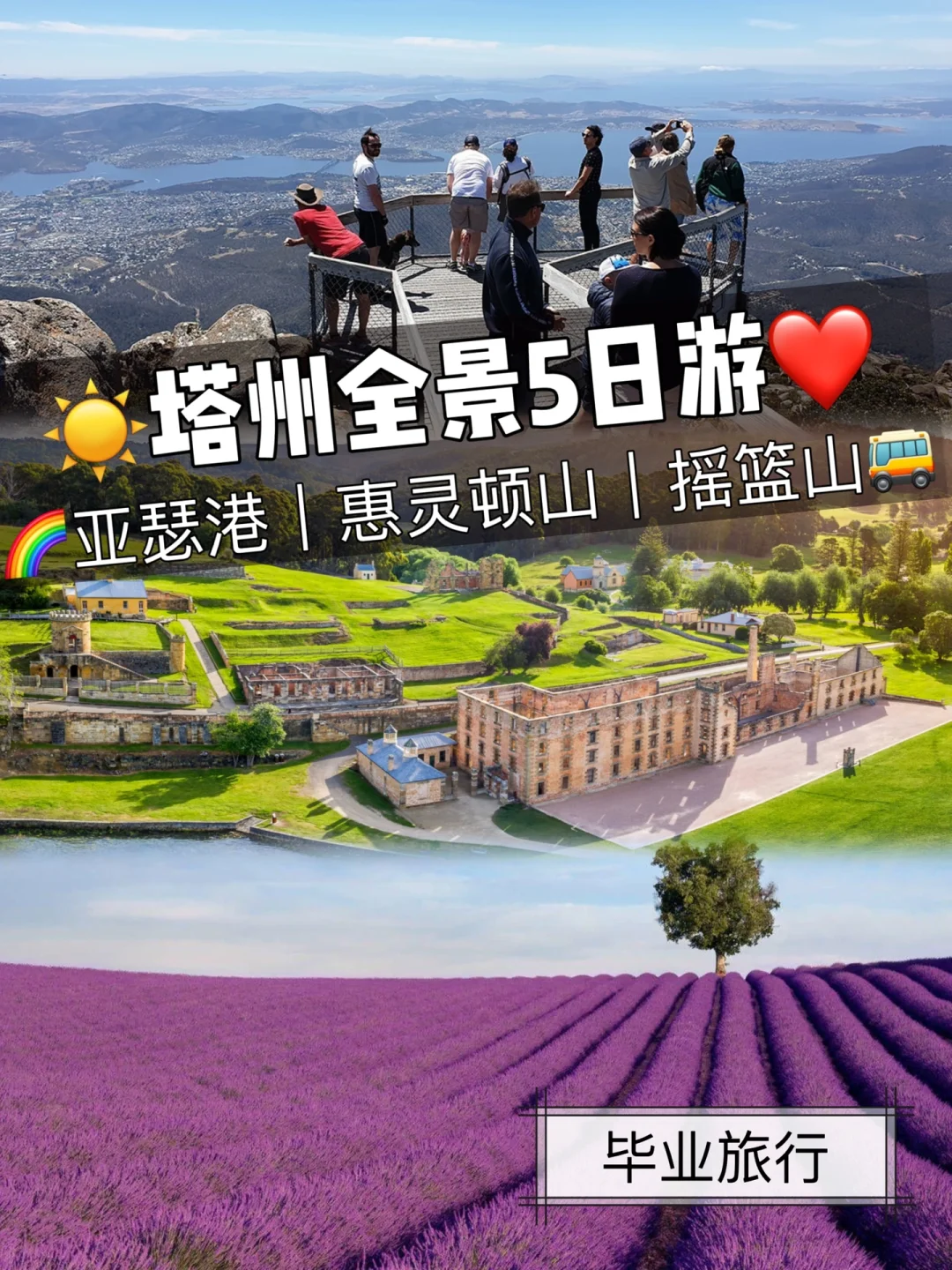 包含塔斯马尼亚联球迷现场助威，激发球队夺冠斗志的词条