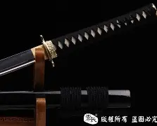 刀塔焦点战：苍狼突击对战逐风者，完成三杀，统治赛场毫无争议(苍狼电视剧1一46集全集)